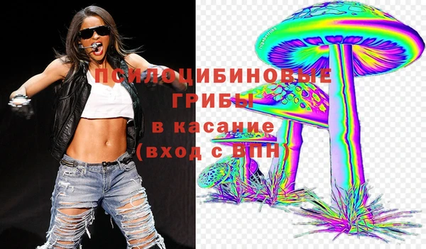 молекула духа Аркадак