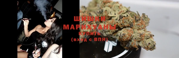 молекула духа Аркадак