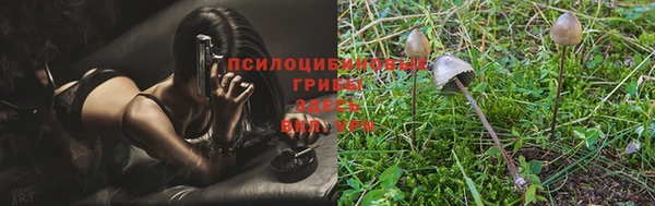первитин Арсеньев