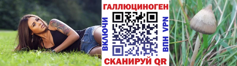 MEGA как зайти  Малая Вишера  Псилоцибиновые грибы Magic Shrooms 